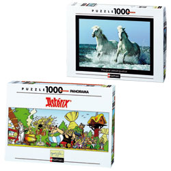 Puzzle 1000 pièces