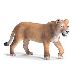 Lionne Courant