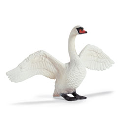 Cygne Blanc