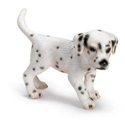 Chiot Dalmatien 