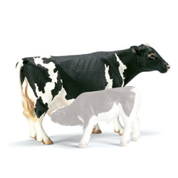 Vache Holstein