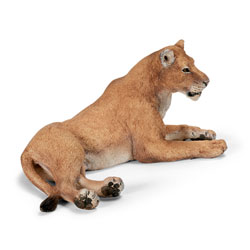 Lionne, Couchée