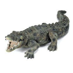 Crocodile