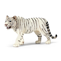 Tigre blanc mâle