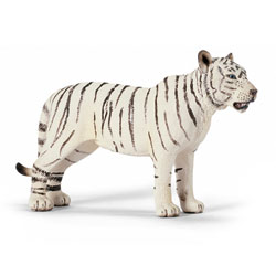Tigre blanc femelle