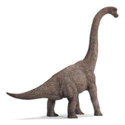 Brachiosaurus 