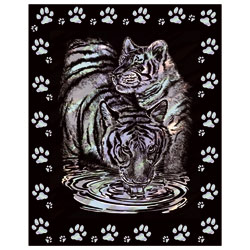 Scraper Nacre! Le Tigre du Bengale et son petit