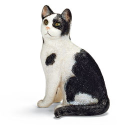 Chat Assis