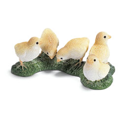 Poussins 