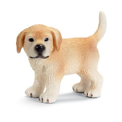 Chiot Golden Retriever Debout