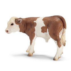 Veau Simmental Français