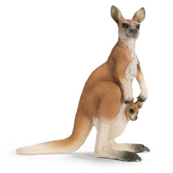 Kangourou