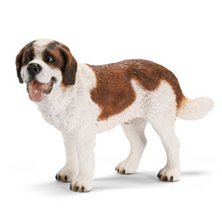 Saint Bernard Mâle