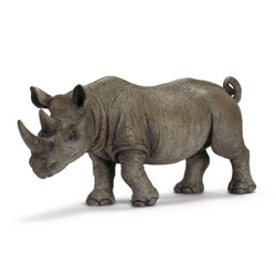Rhinocéros Noir