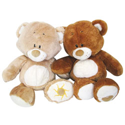 Ours en peluche