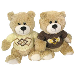 Ours en peluche avec pull