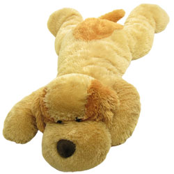 Chien couché 1m