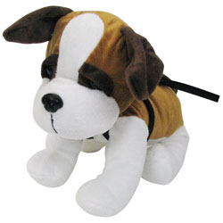 Chien en laisse