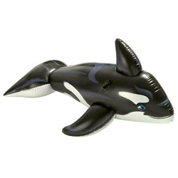 Baleine géante