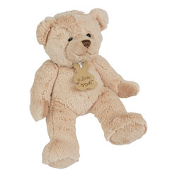 Histoire d'Ours-Peluche Calin Ours Ivoire