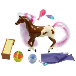 Poulain et accessoires