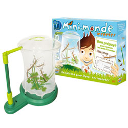 Mini-monde des insectes