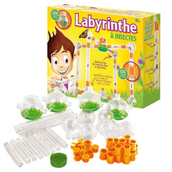 Labyrinthe à Insectes