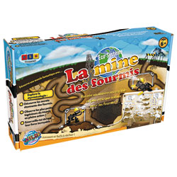 La mine des fourmis