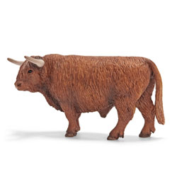 Taureau Highland