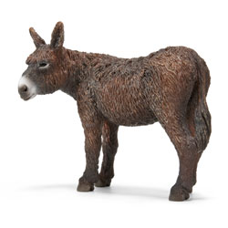 Baudet du Poitou