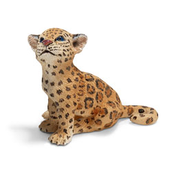 Bébé Jaguar