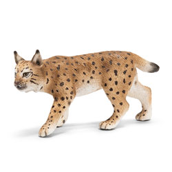 Lynx Femelle