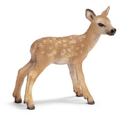 Cerf Rouge Faon