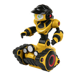 Mini Roborover