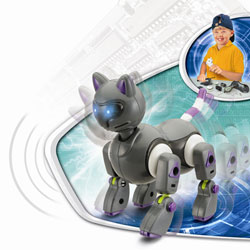 Catbot à construire