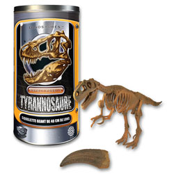 Squelette géant T-Rex