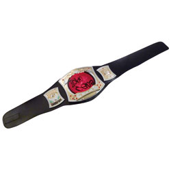 Ceinture Champ électrovision