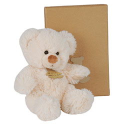 Histoire d'Ours-Peluche Ours coton 20cm