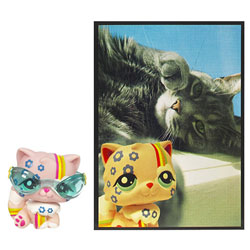 Petshop Chat Persan et Carte Postale