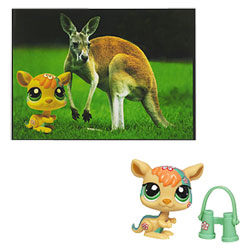 Petshop Kangourou et Carte Postale