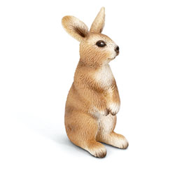 Lapin Debout 