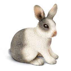 Lapin Assis