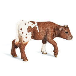 Veau Texan Longhorn