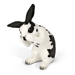 Lapin Faisant Sa Toilette