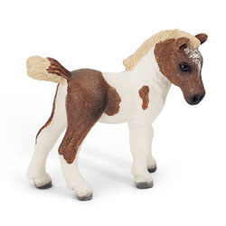 Poulain Falabella