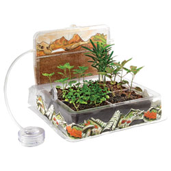 Kit d'observation des insectes et des plantes