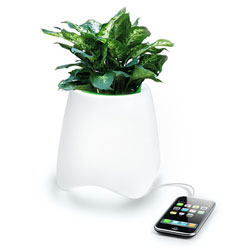 Enceinte lumineuse