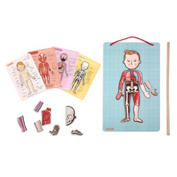 Body Magnet L'Anatomie