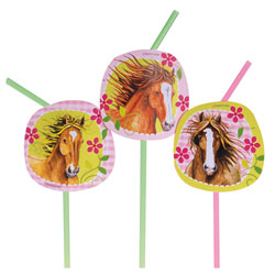 8 Pailles Chevaux