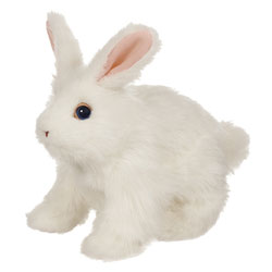 Hop Hop Mon Lapin Blanc